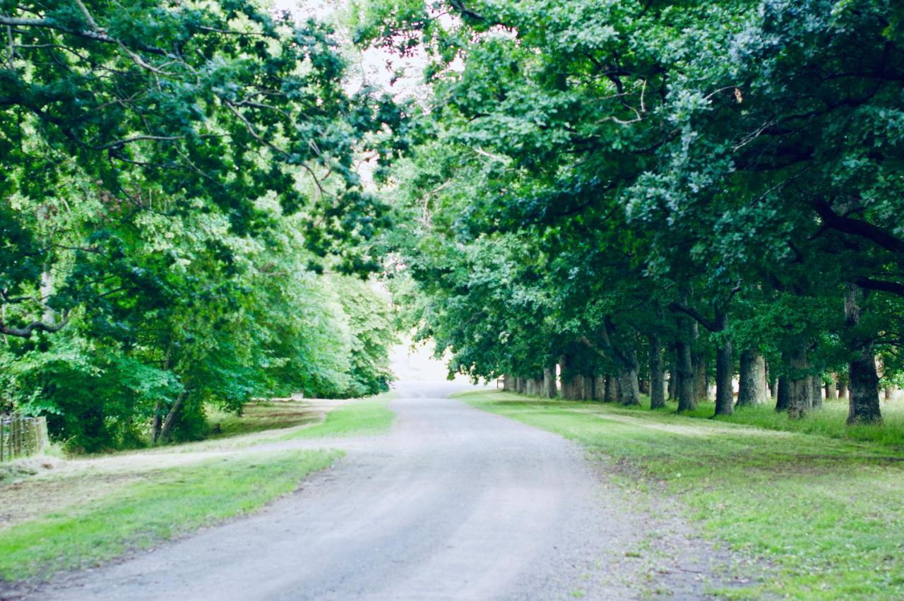 Wallingford Homestead Luaran gambar