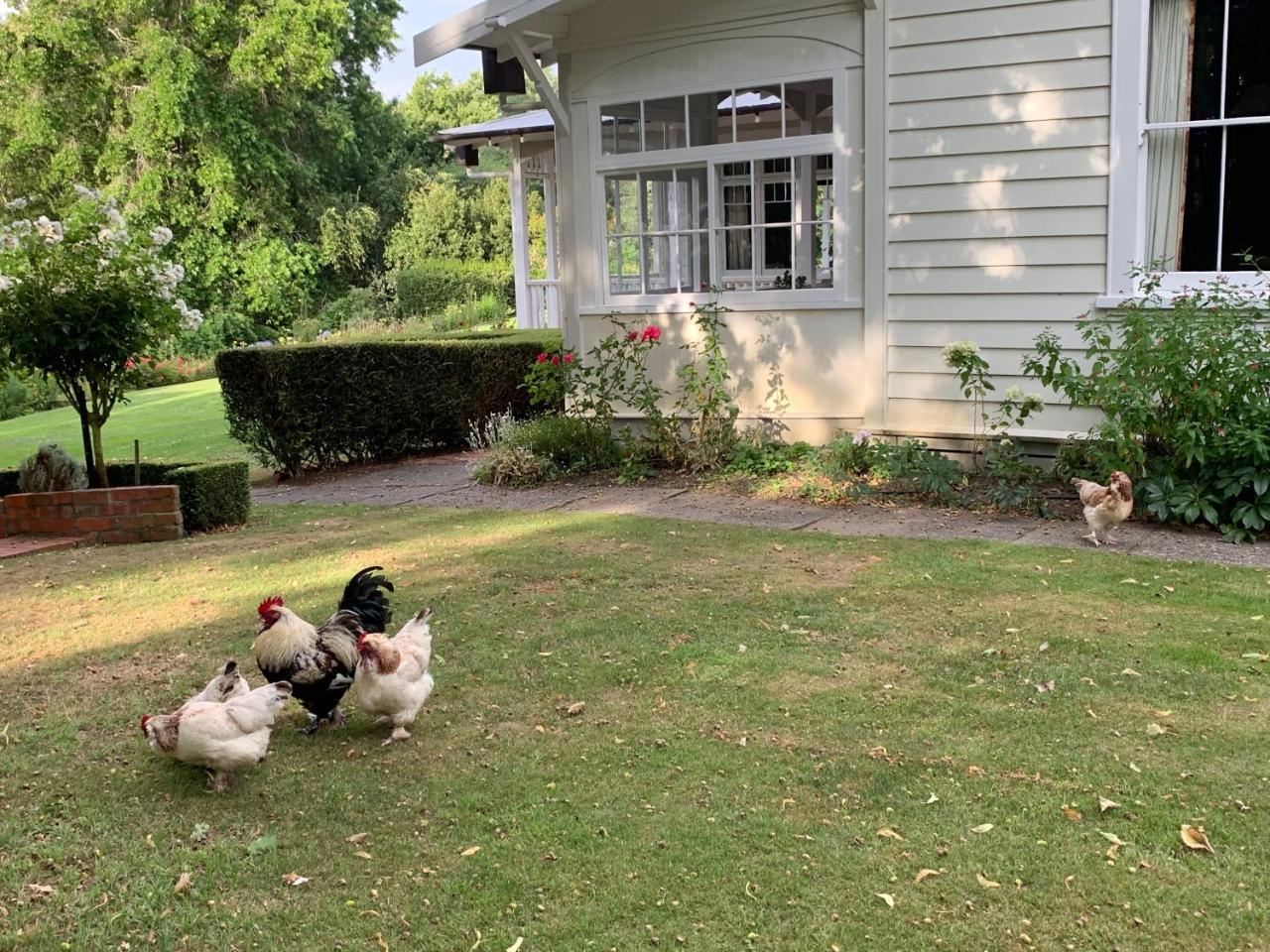 Wallingford Homestead Luaran gambar