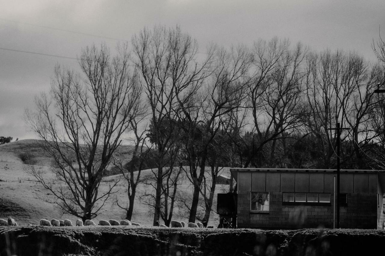 Wallingford Homestead Luaran gambar